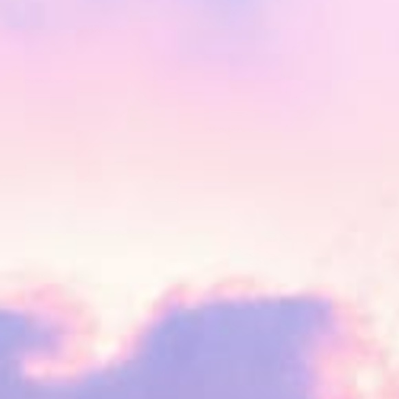 Meet your Posher, Lori - Picture 1 of 1